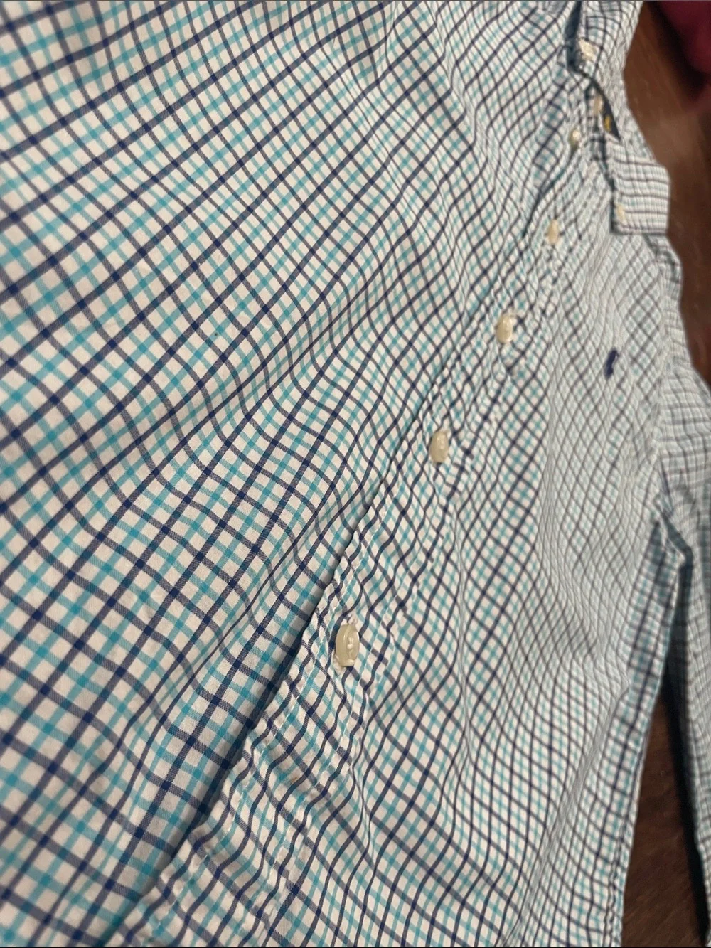 Polo by Ralph Lauren Green and Blue Check Button-Down Shirt